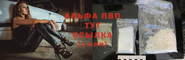 spice Вяземский