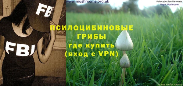 дмт Горнозаводск
