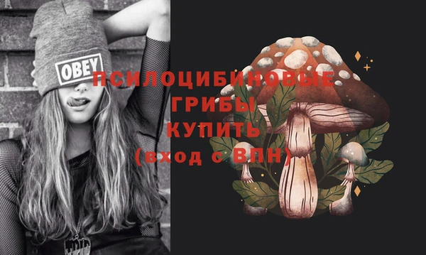 мяу мяу кристалл Горно-Алтайск