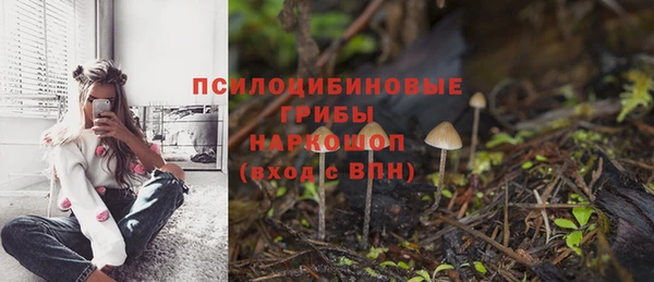 прущий лед Вязники