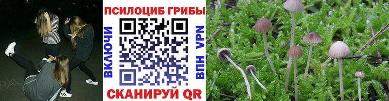 Псилоцибиновые грибы GOLDEN TEACHER  Купить закладки  Клинцы 
